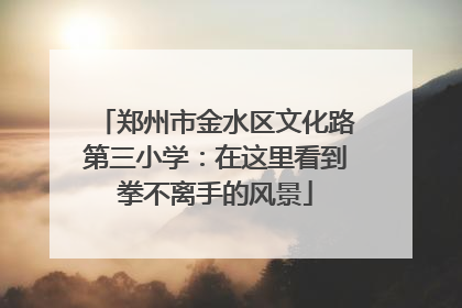 郑州市金水区文化路第三小学：在这里看到拳不离手的风景